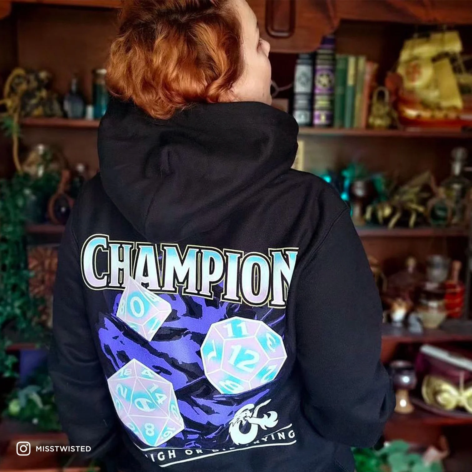 Dungeons & Dragons x Champion - Roll High or Die Trying Hoodie - Image 4