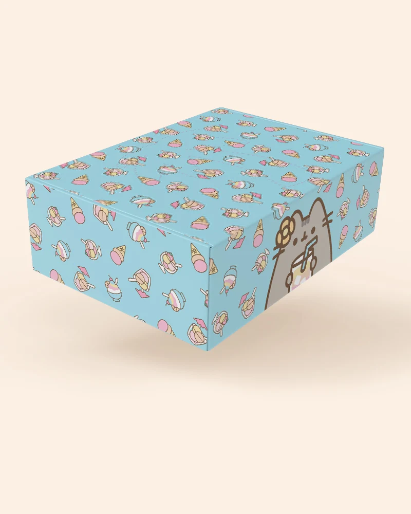 Pusheen Cat Kit Box